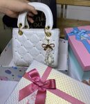 Gợi Ý Chọn Túi Tặng Bạn Gái Khiến Nàng Cực Kỳ Hài Lòng4